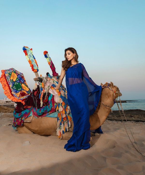 Navin Waqar Shows Off Her Perfect Figure in an Elegant Blue Saree