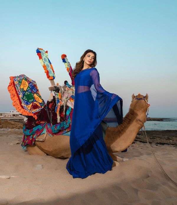 Navin Waqar Shows Off Her Perfect Figure in an Elegant Blue Saree