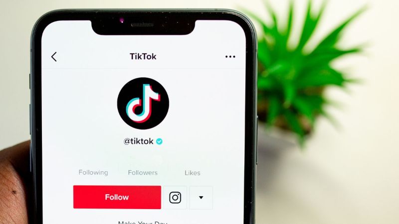 What is the December 22 incident on TikTok?
