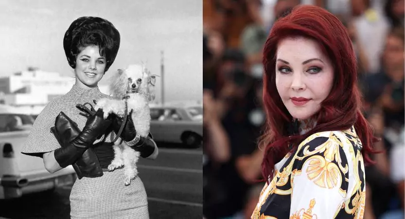 Priscilla Presley - Then & Now